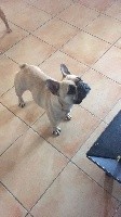 LILI